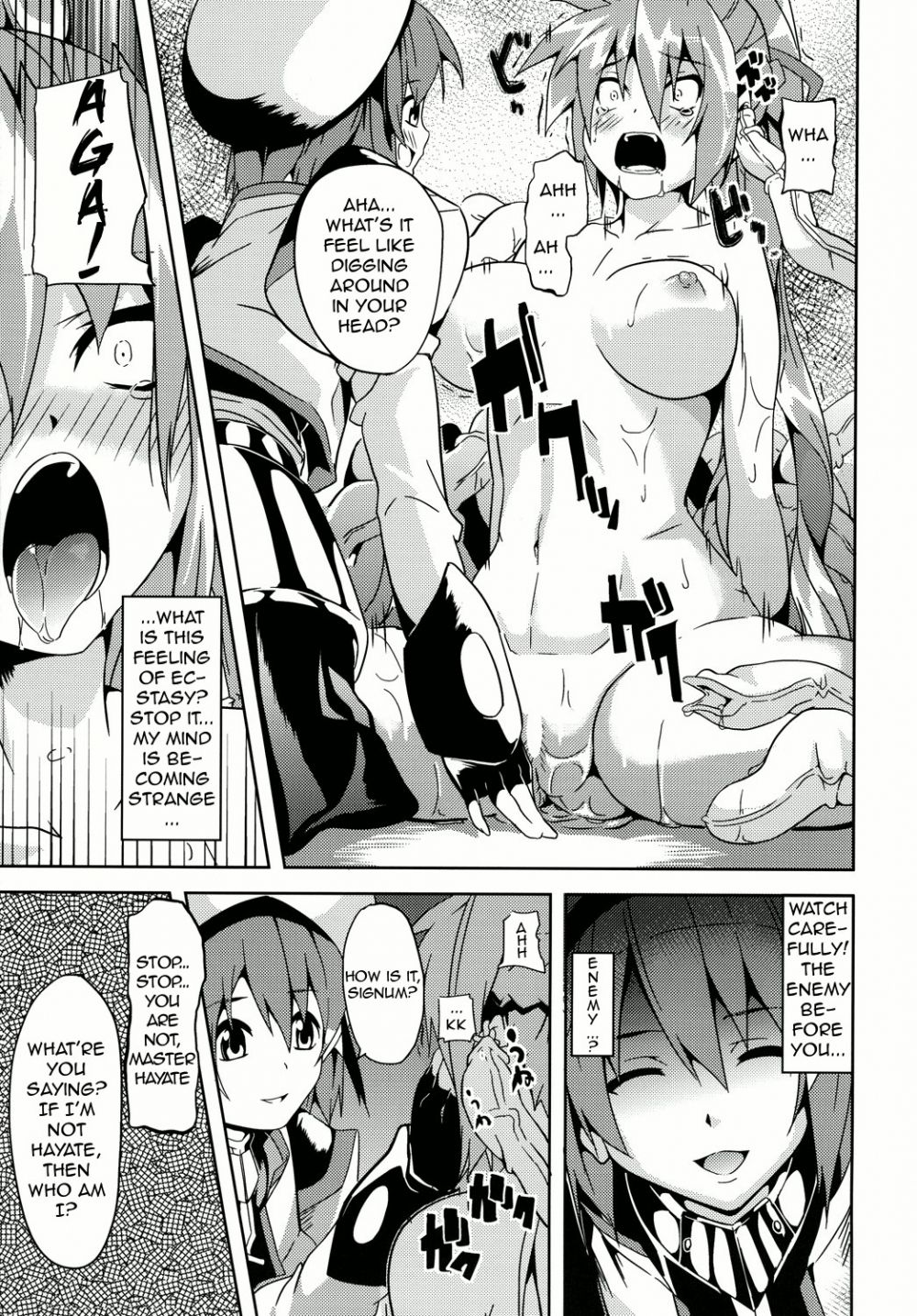 Image #16
