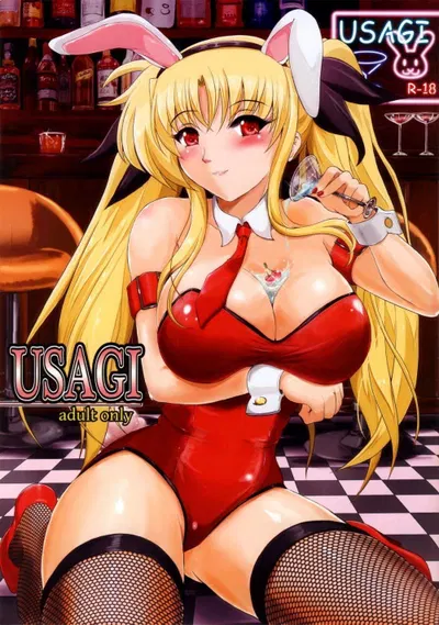 USAGI - معرض هنتاي