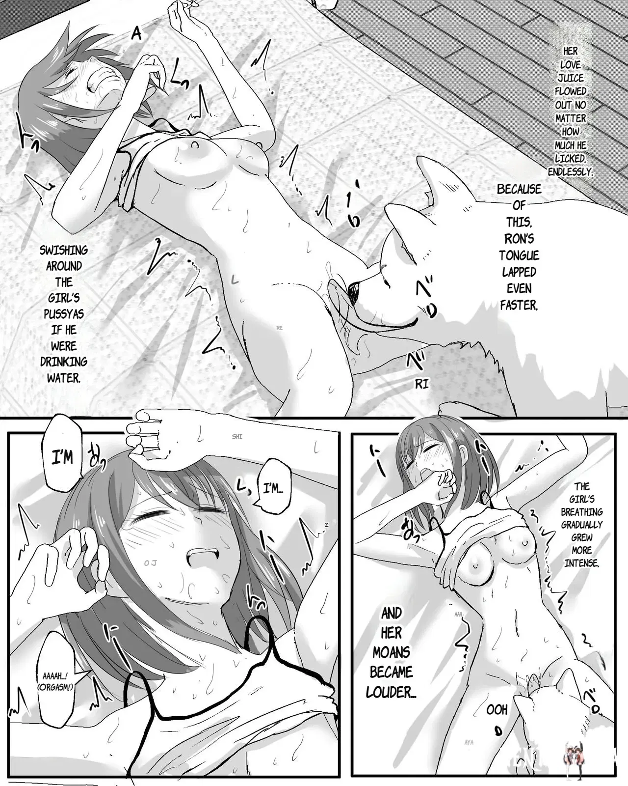Image #11