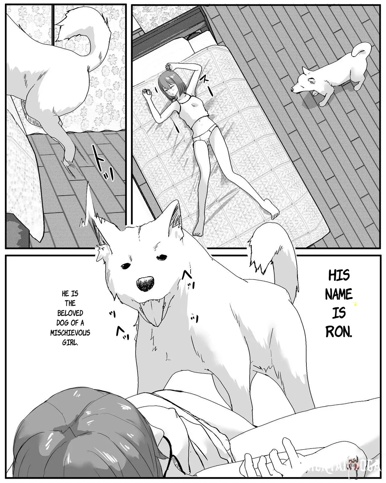 Image #3