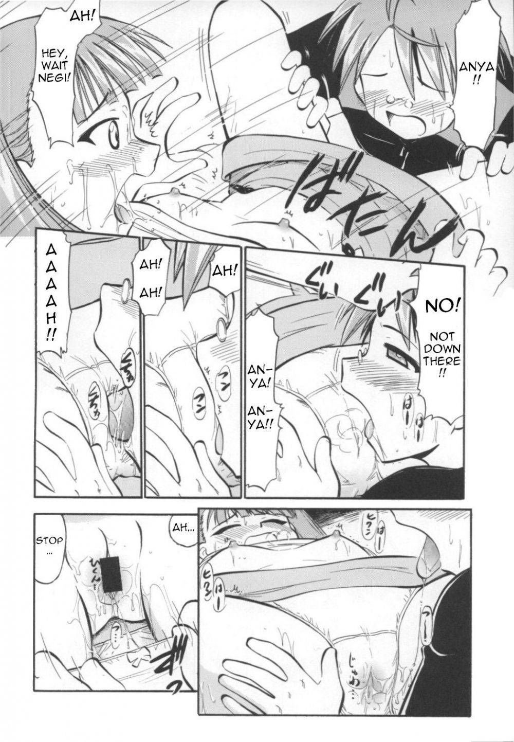 Image #13