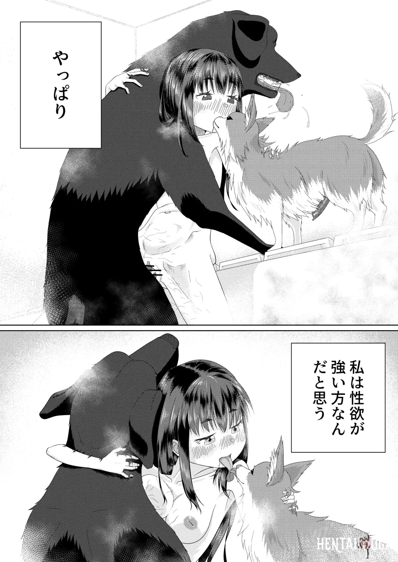 Image #29