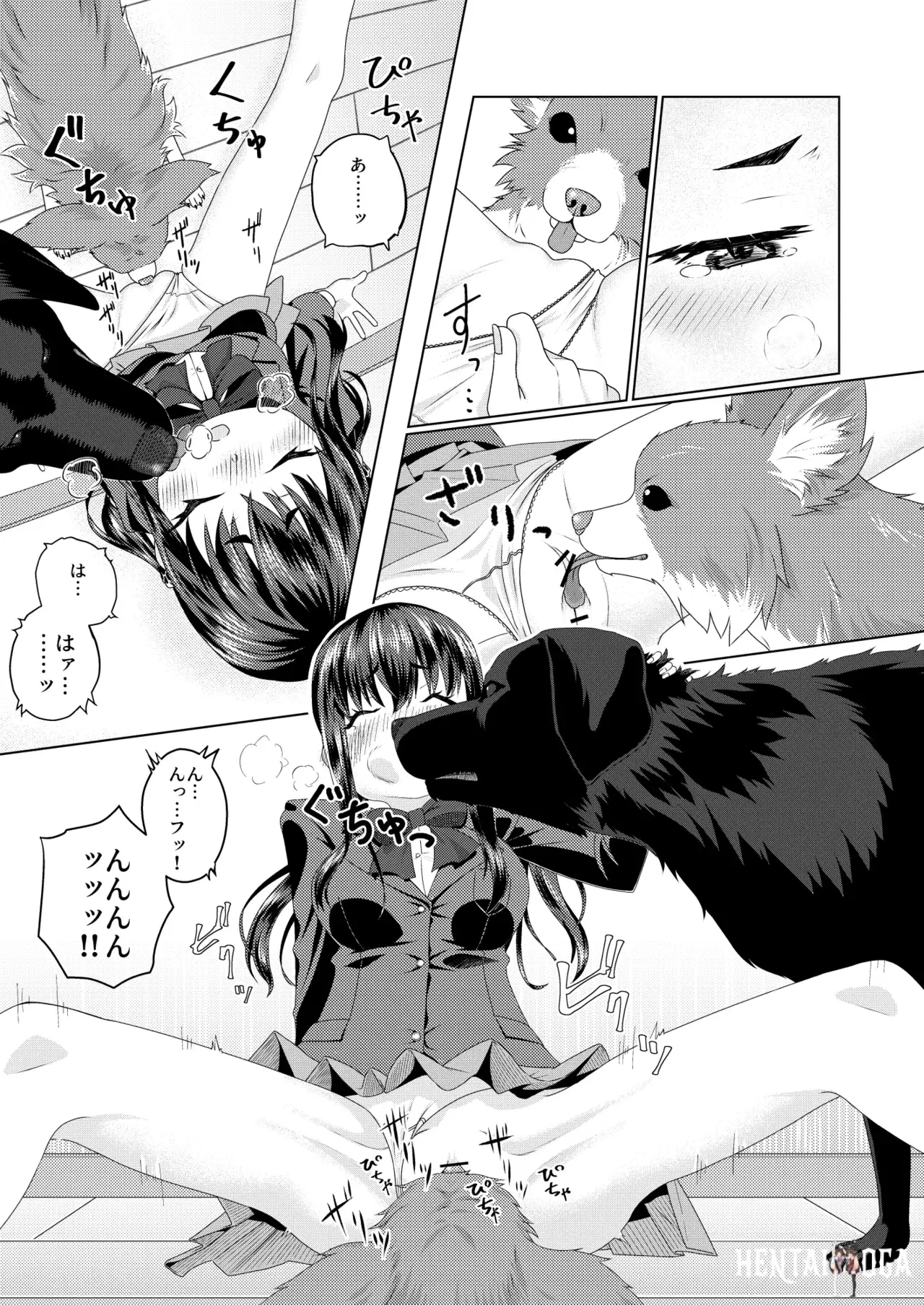 Image #6