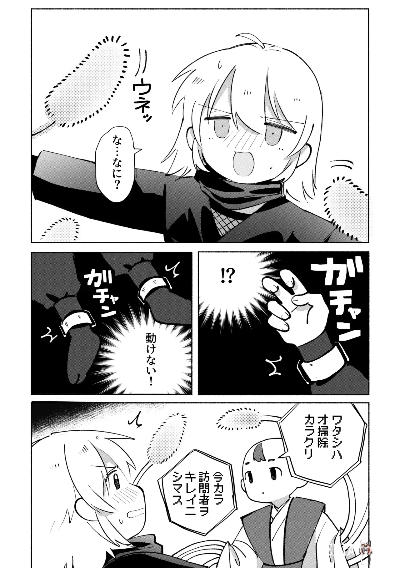 Image #12