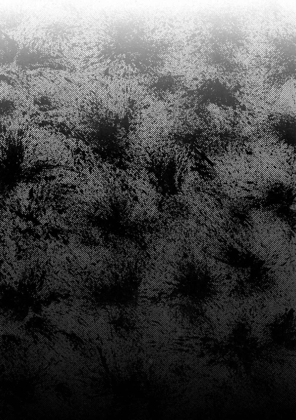 Image #21