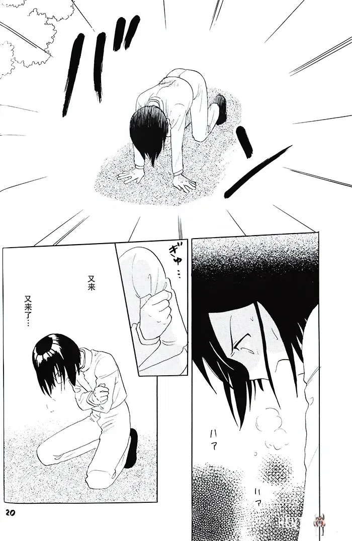 Image #17