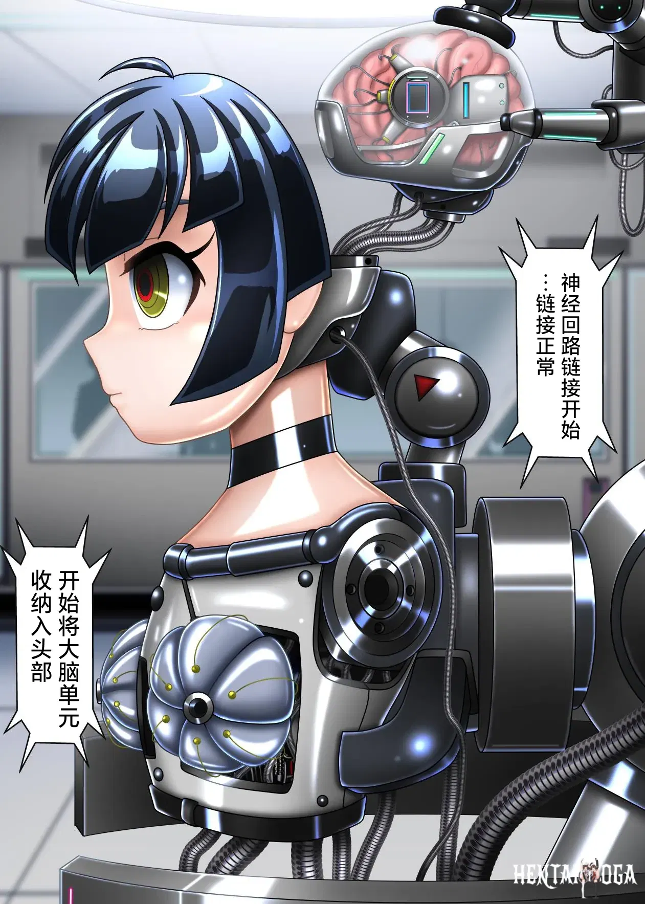 Image #11