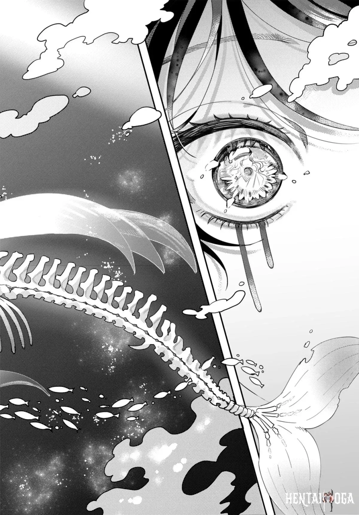 Image #12