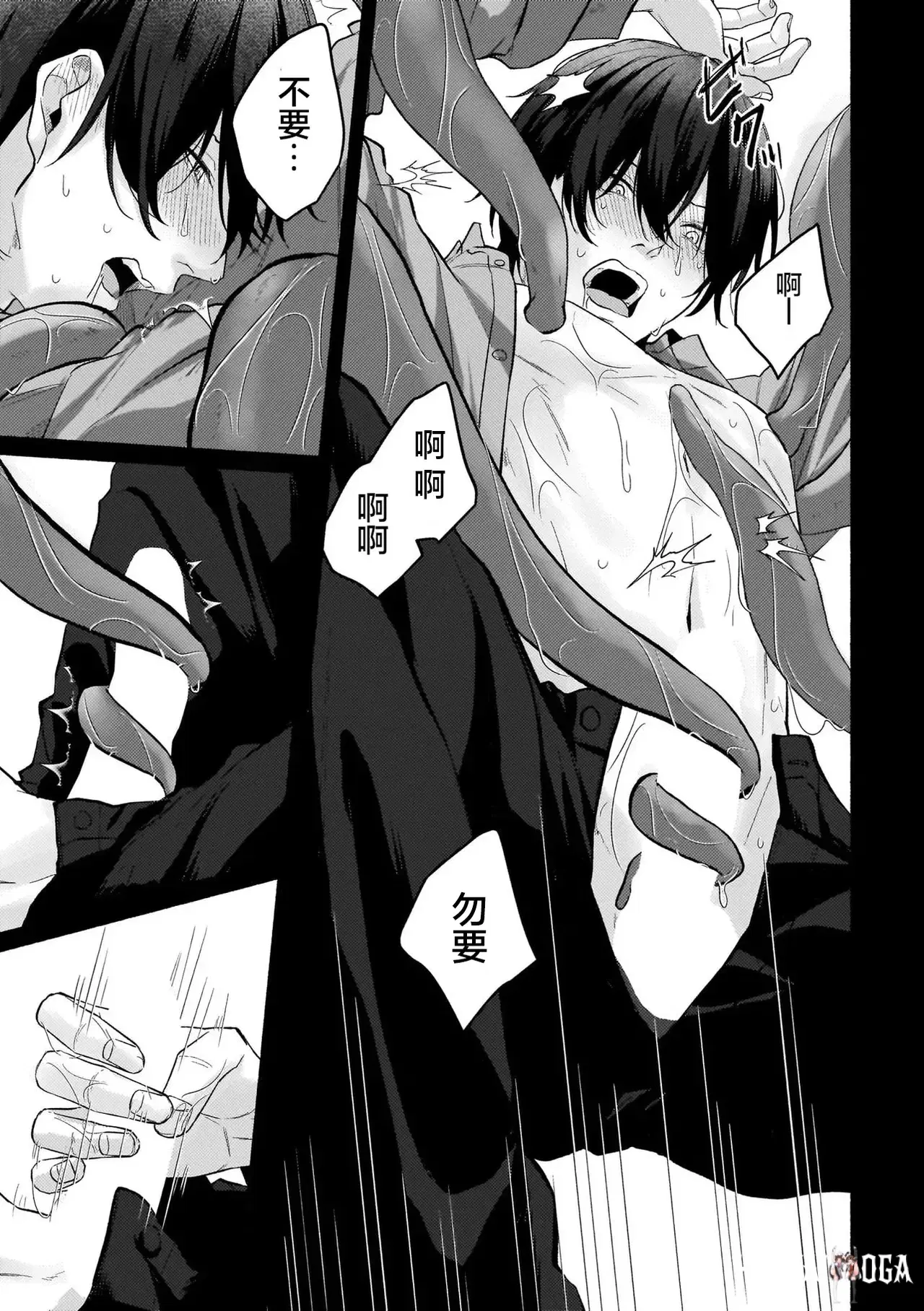 Image #13