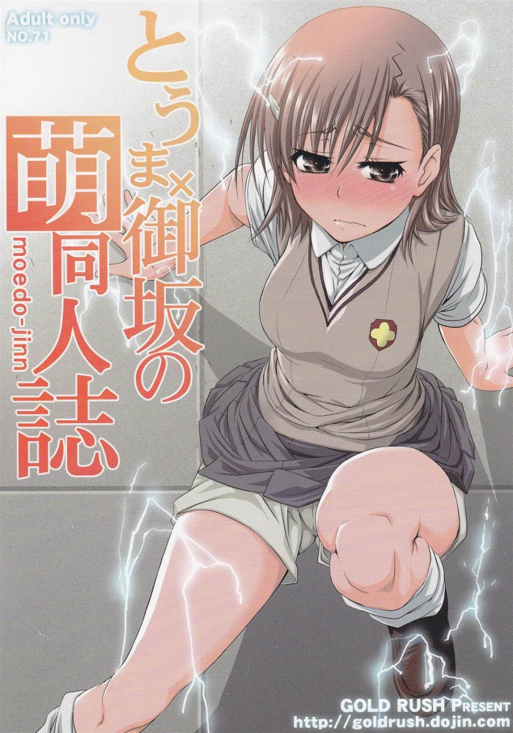 Touma x Misaka's Moe Doujinshi - Hentai Gallery