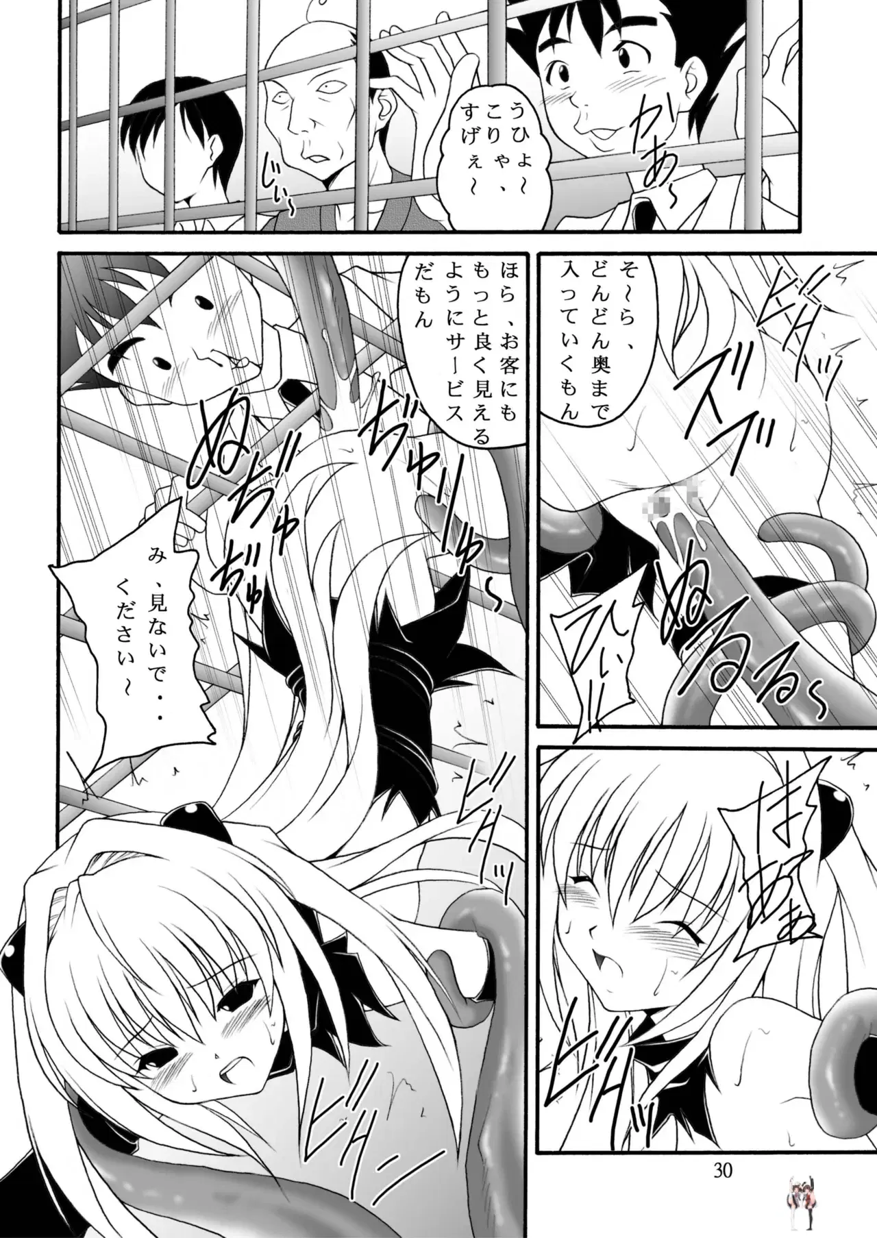 Image #29