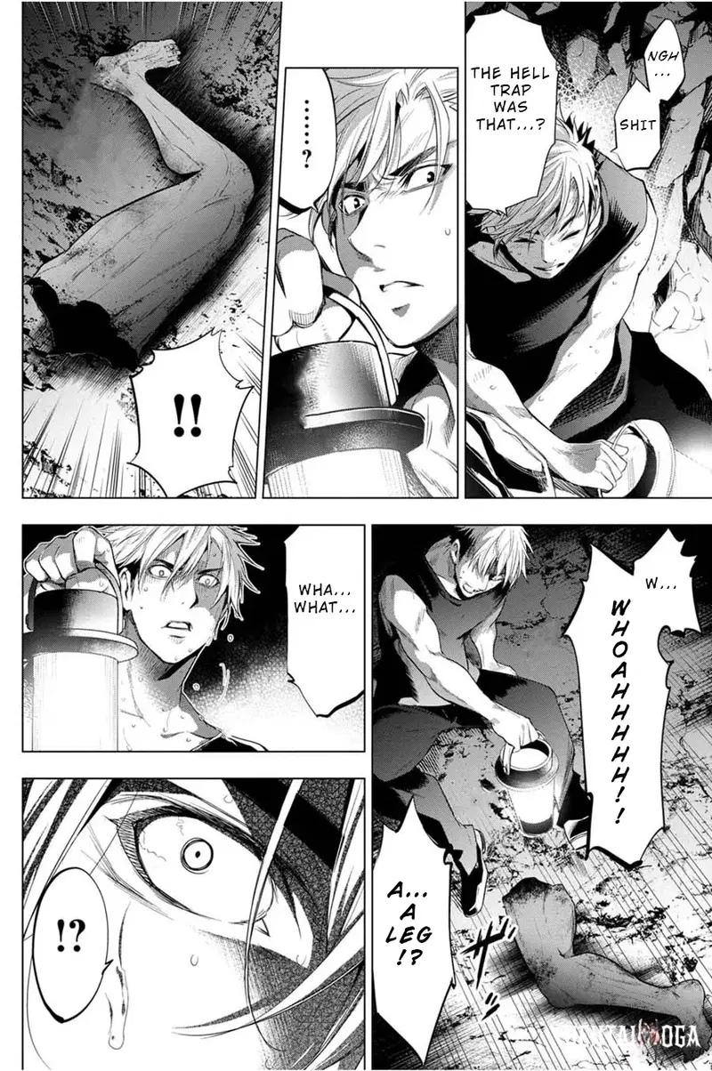 Image #12