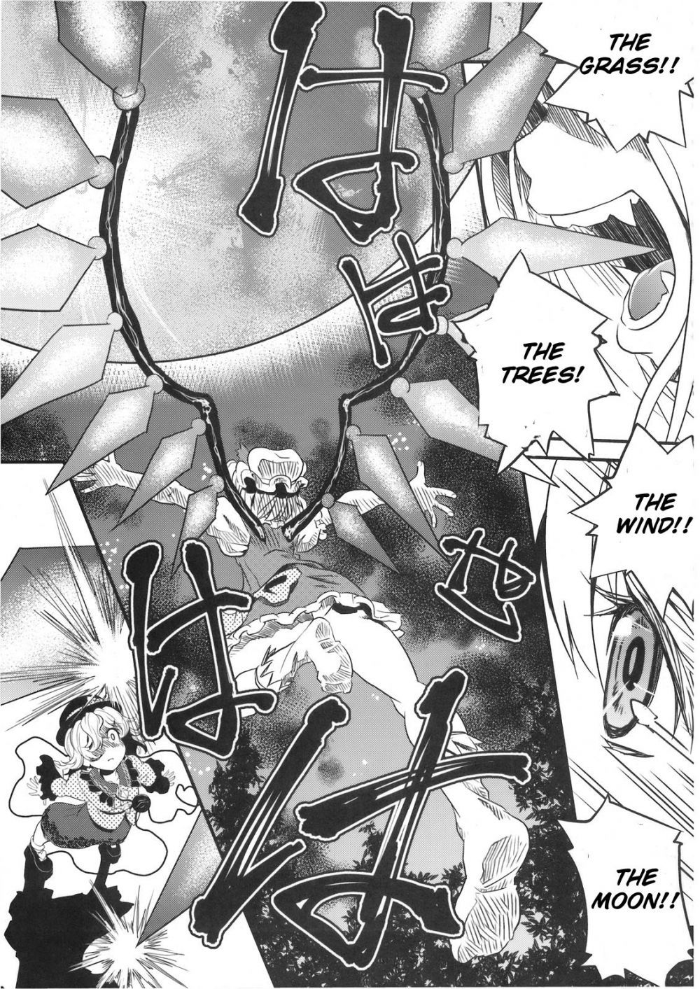 Image #12