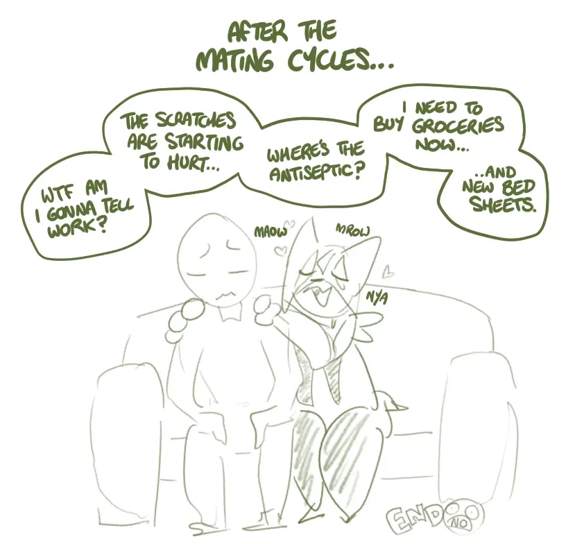 Image #11
