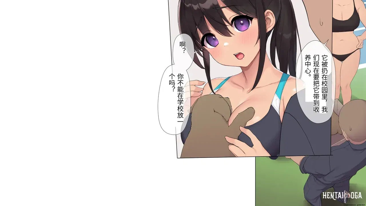 Image #12