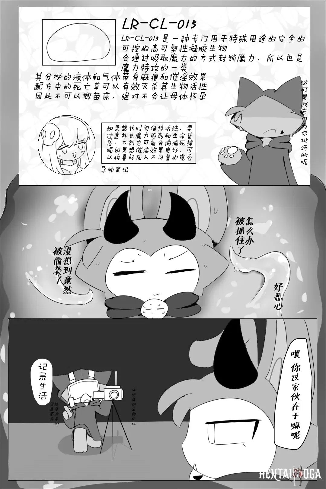 Image #9