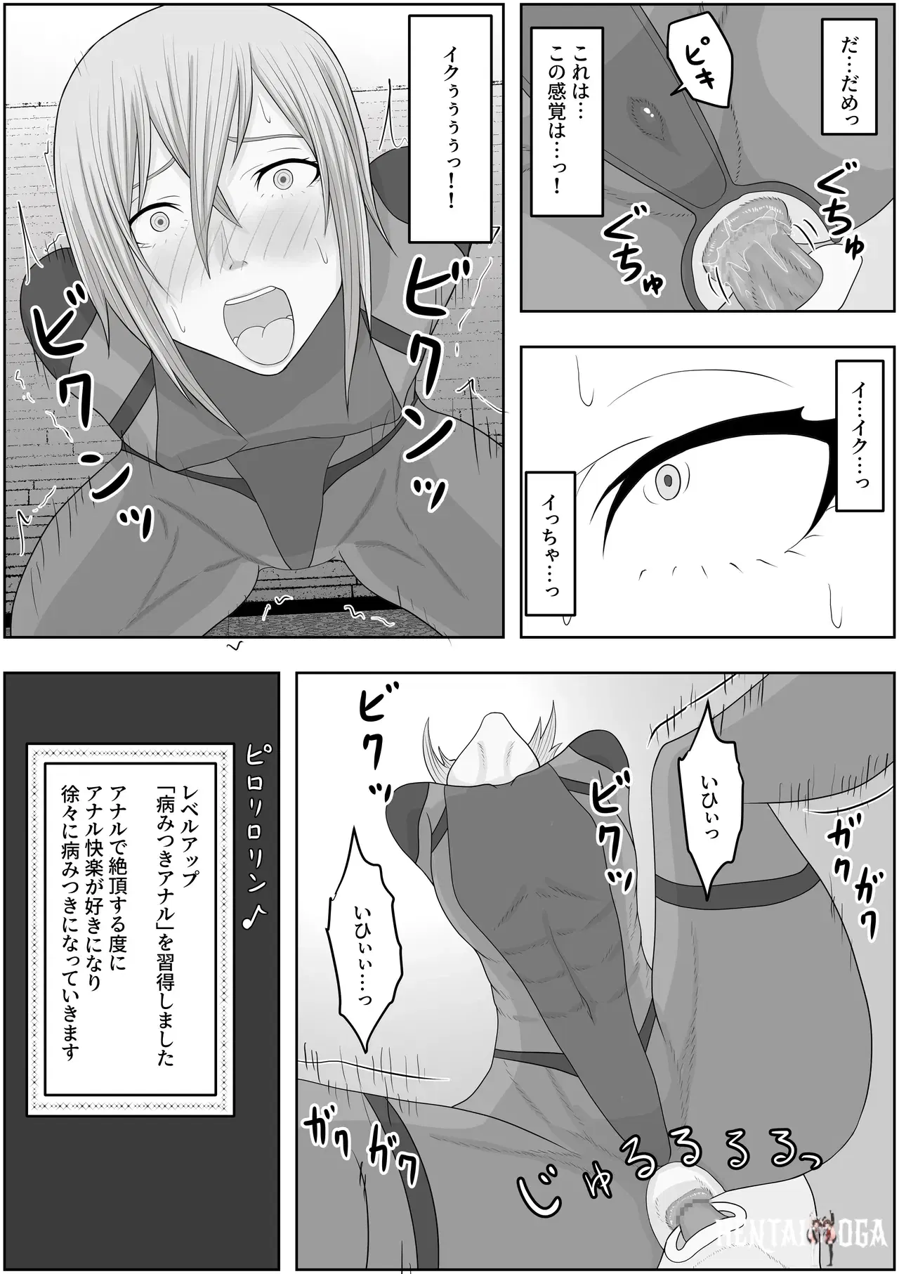 Image #12