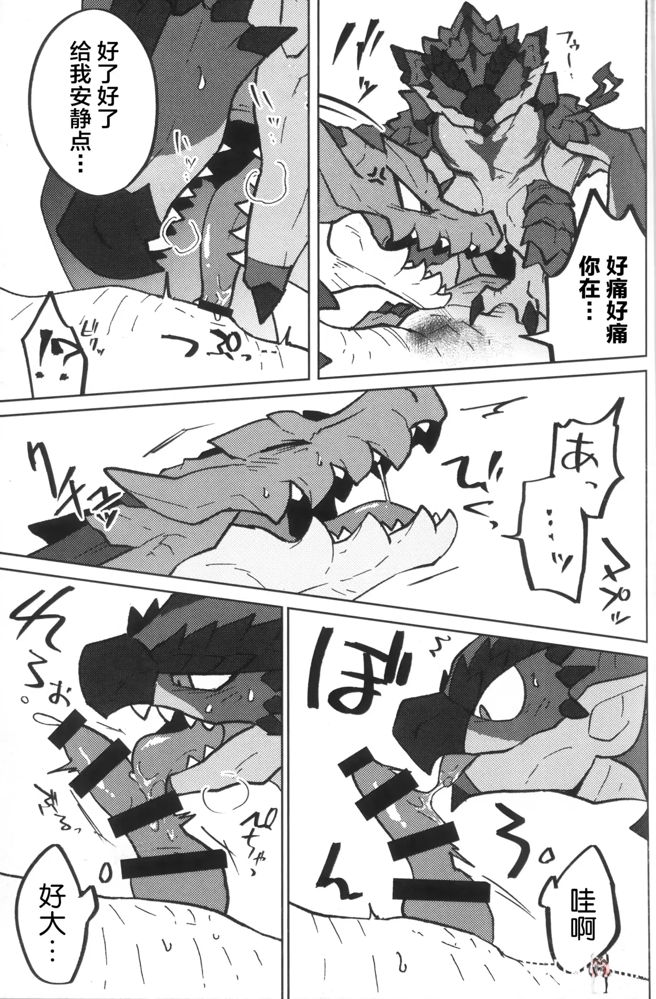 Image #12