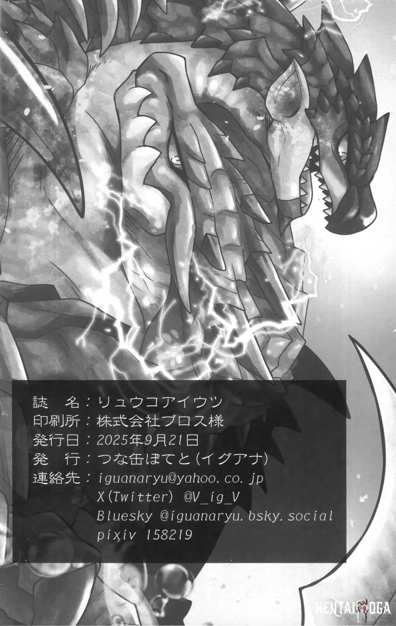 Image #19