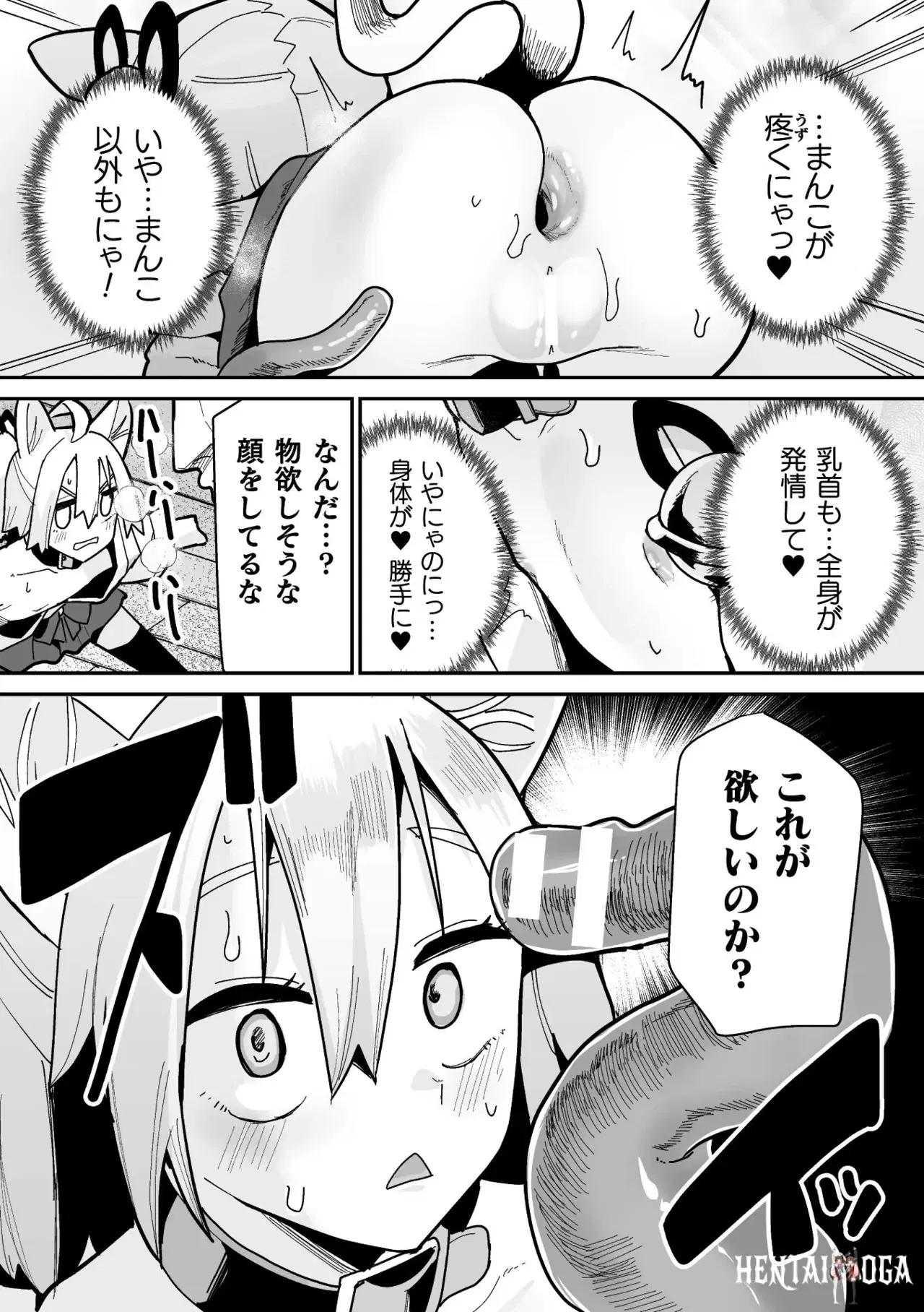 Image #41