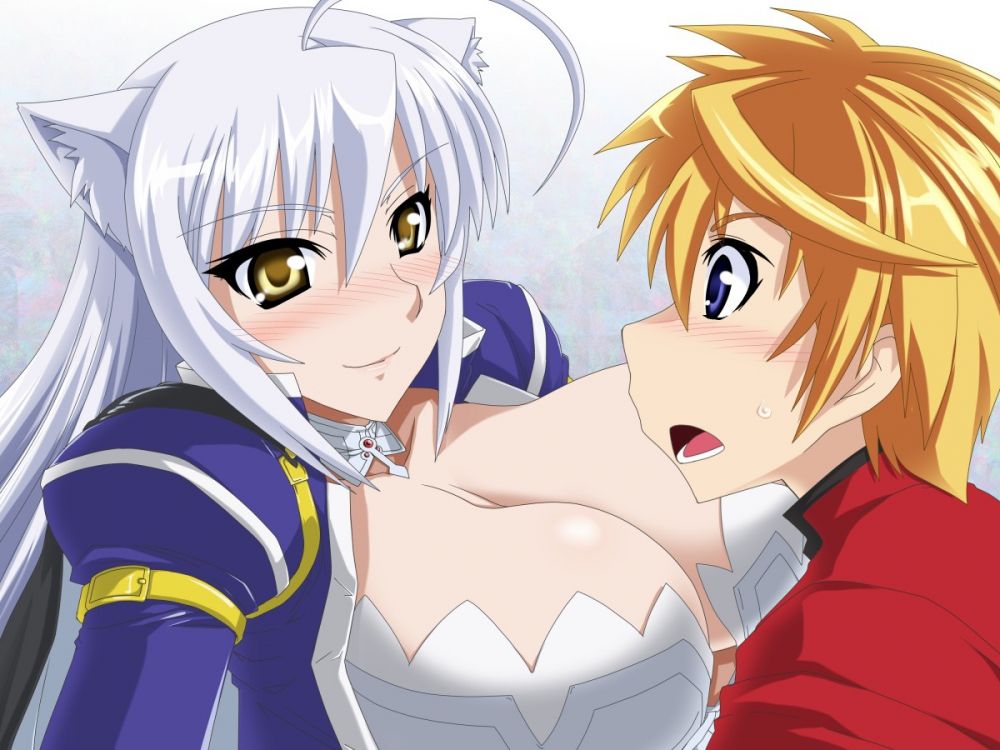 Image #17