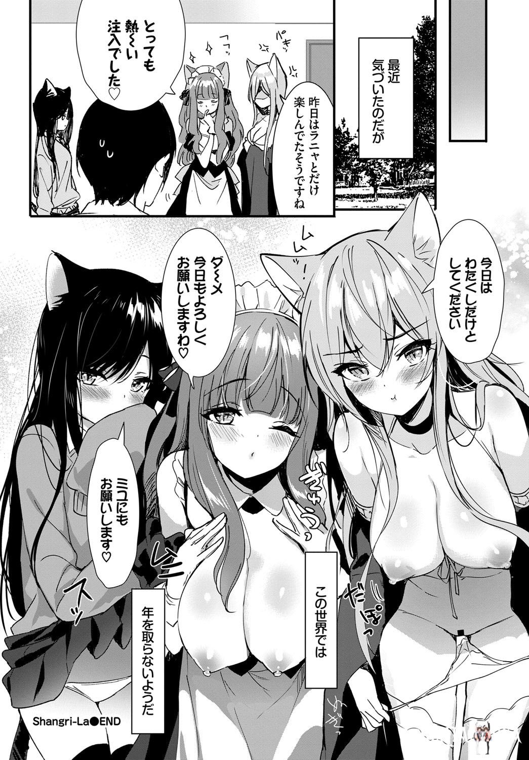 Image #115