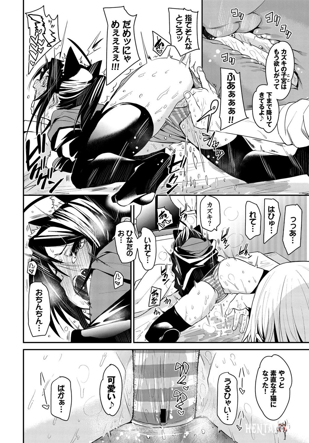 Image #61