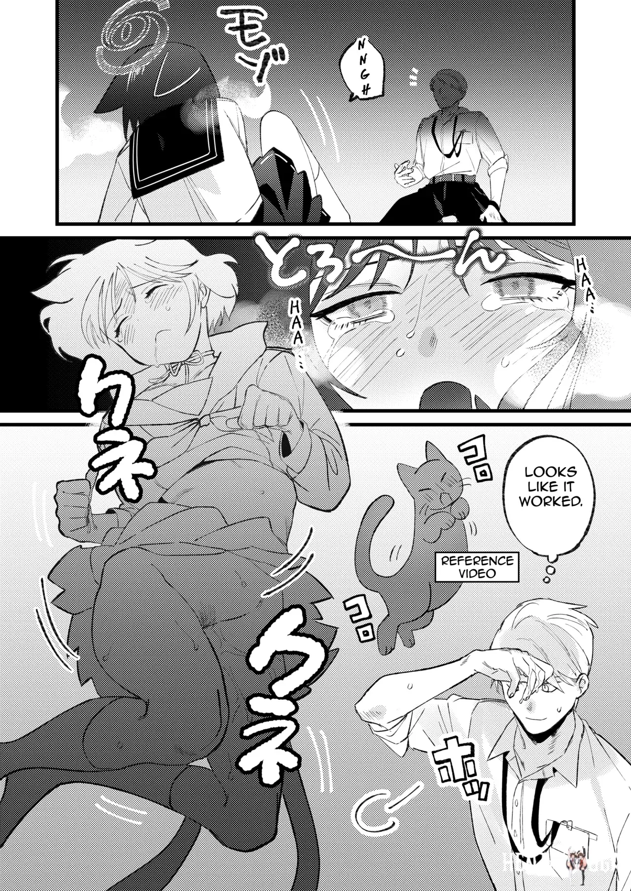 Image #12