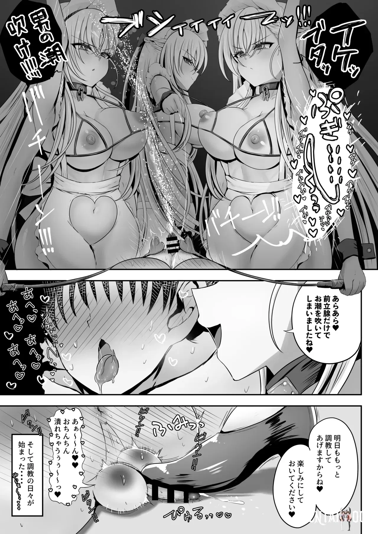 Image #17