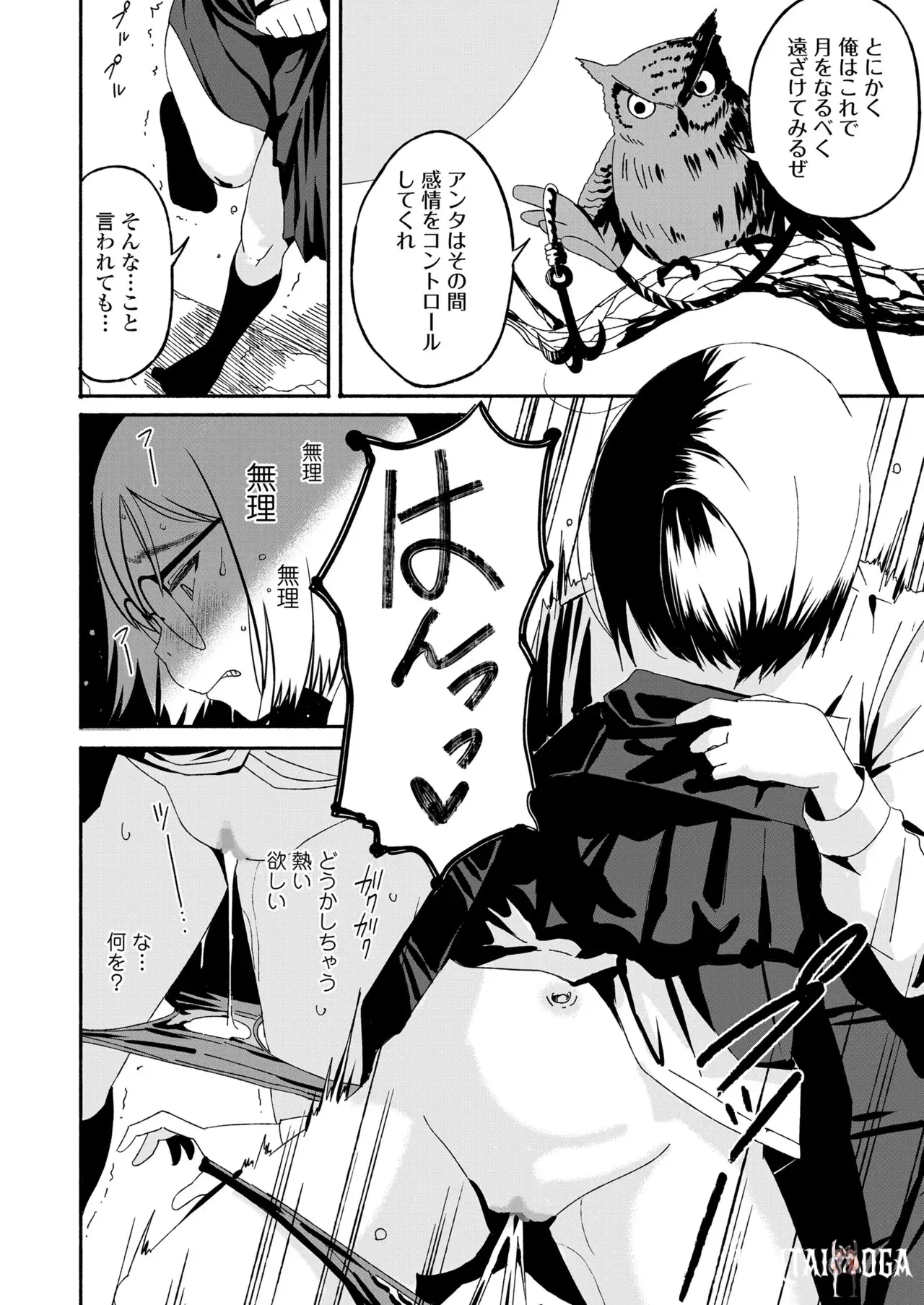 Image #456