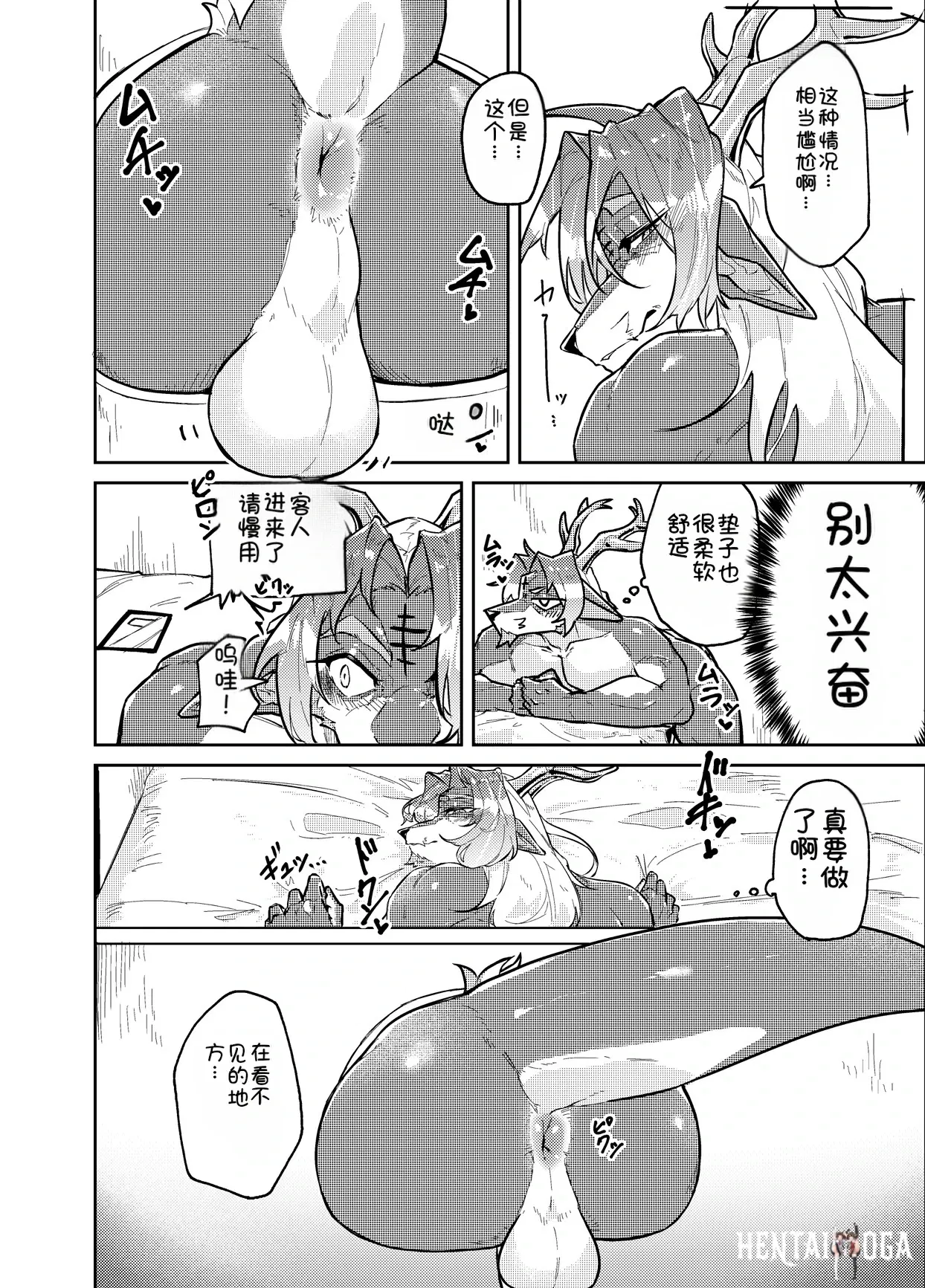 Image #12