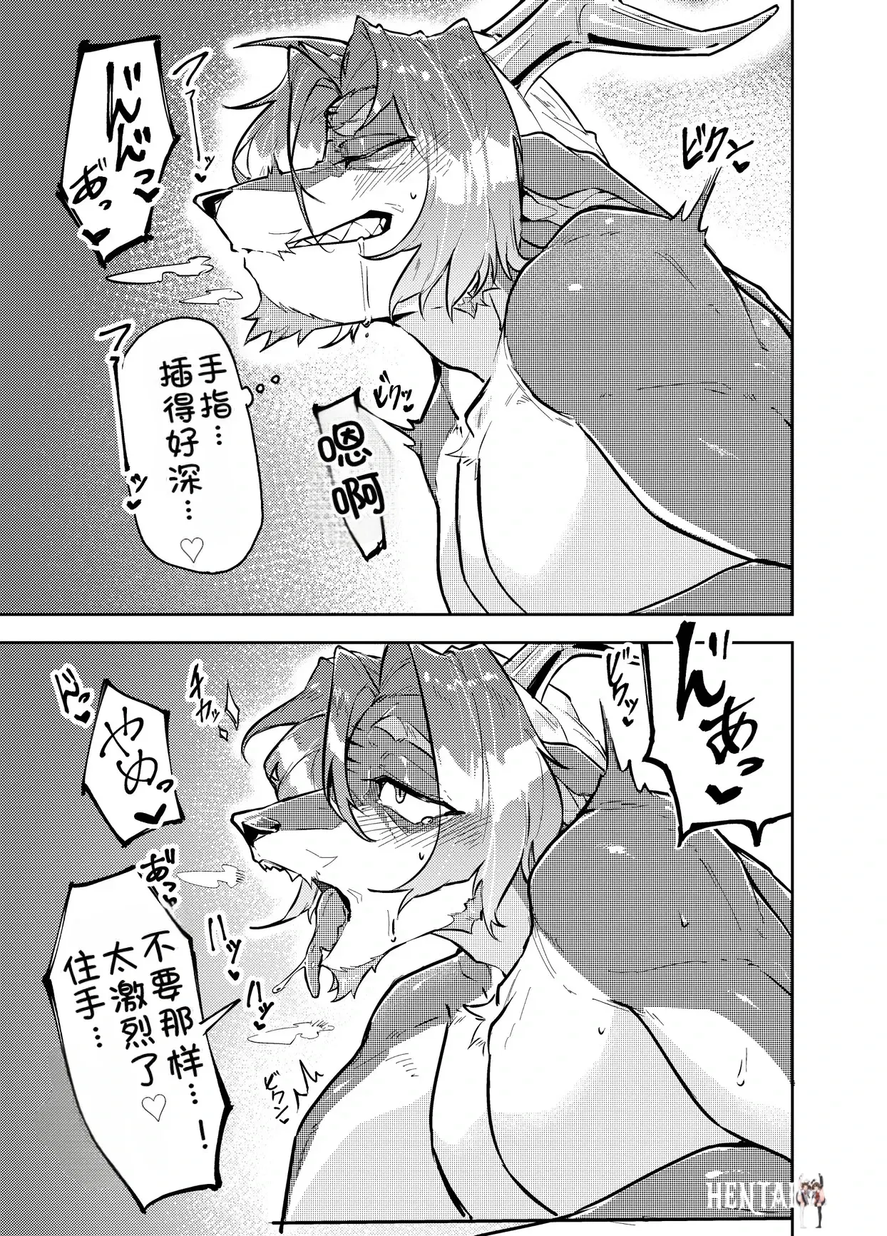 Image #17