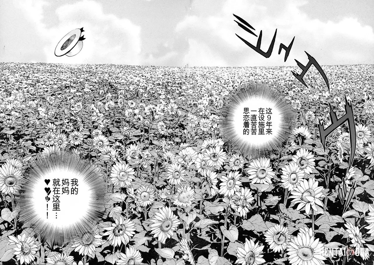Image #34