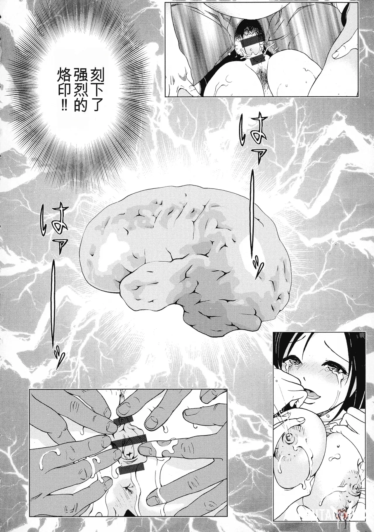 Image #66
