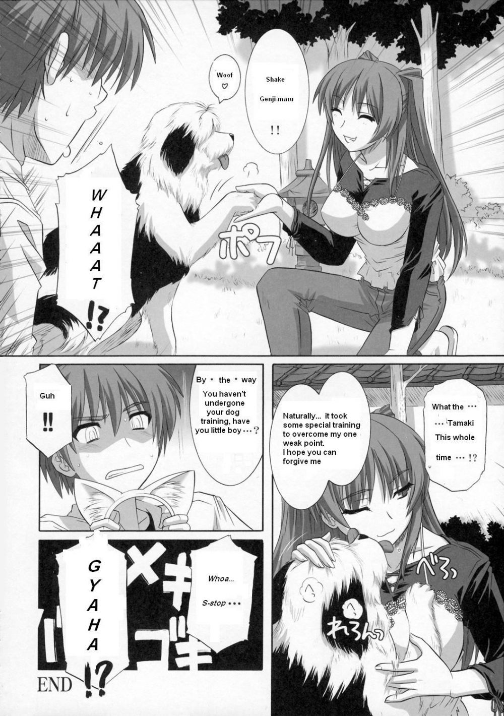 Image #23