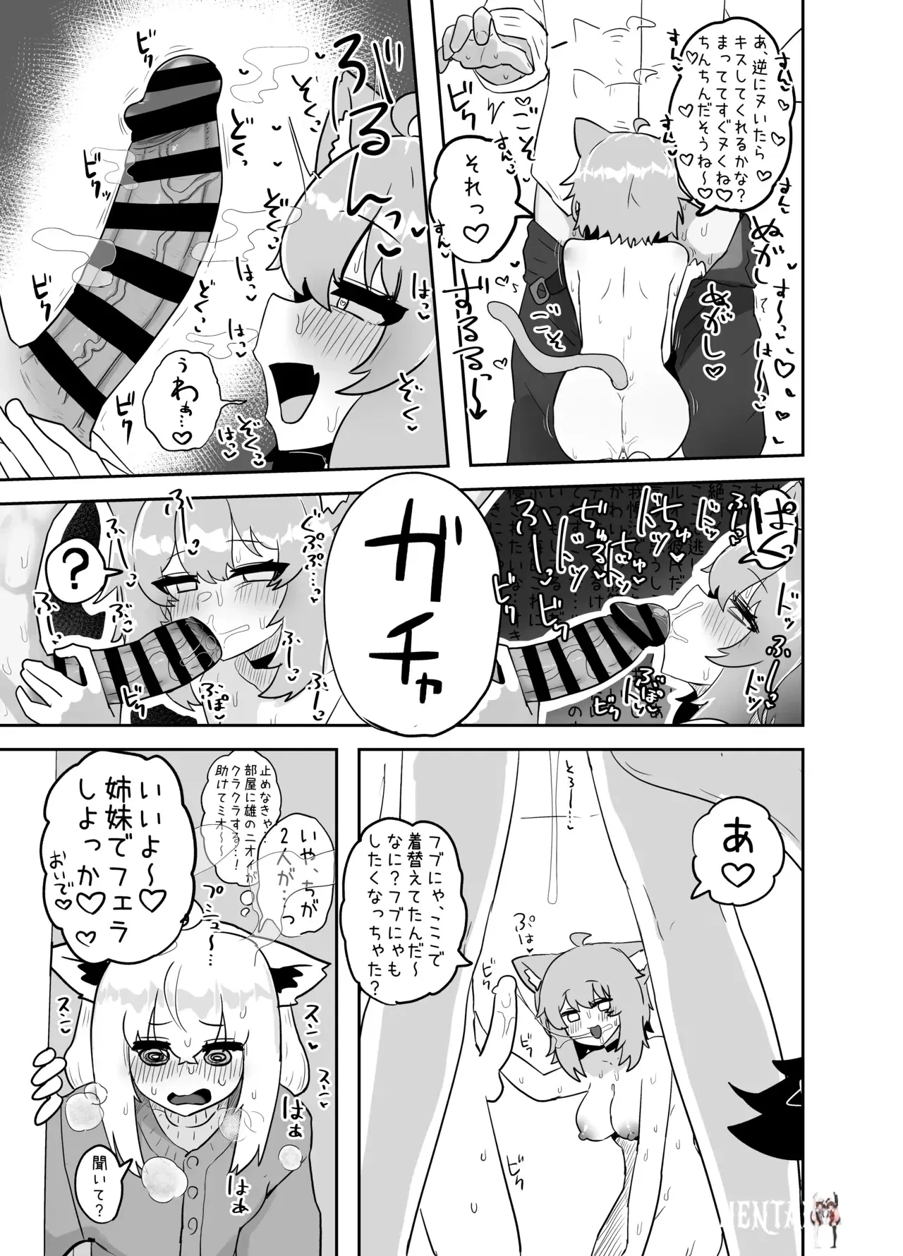 Image #12