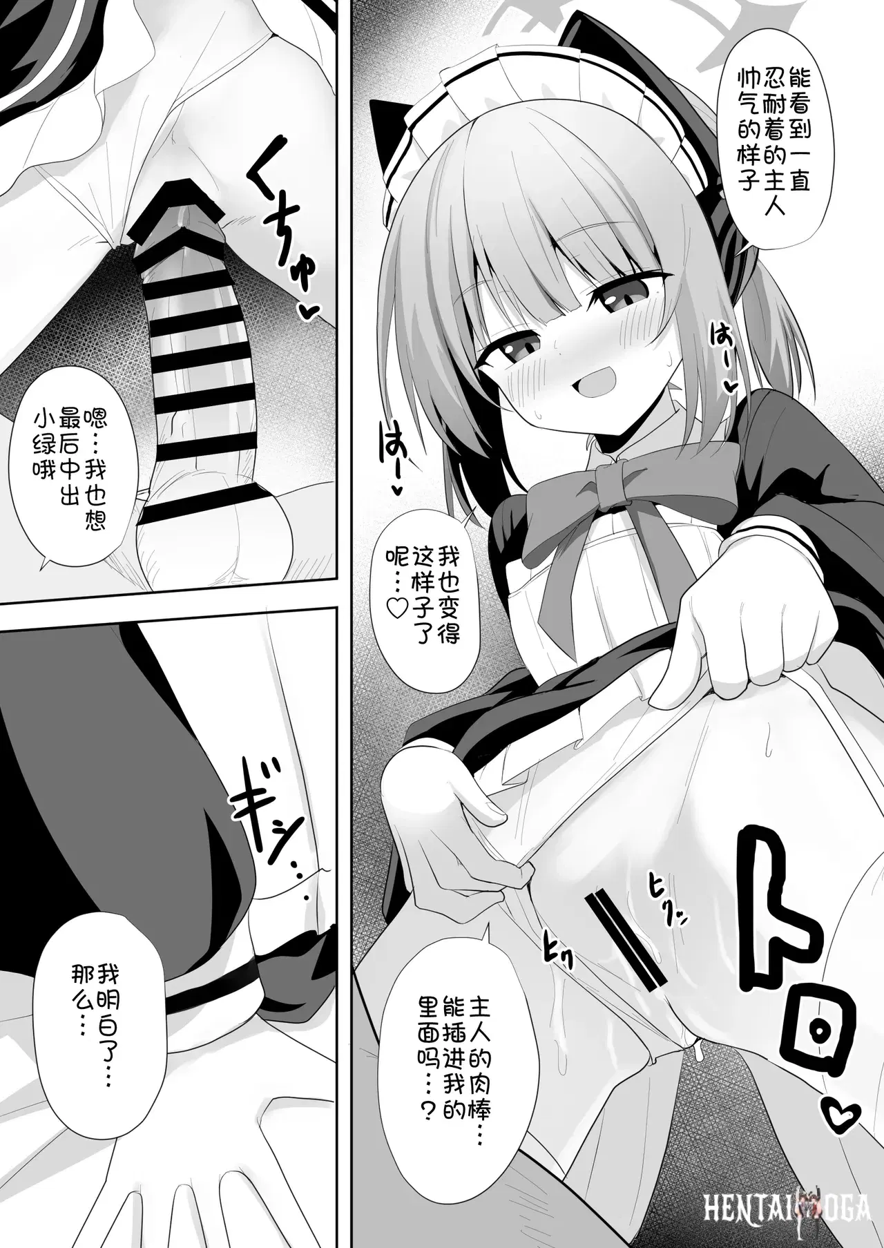 Image #12