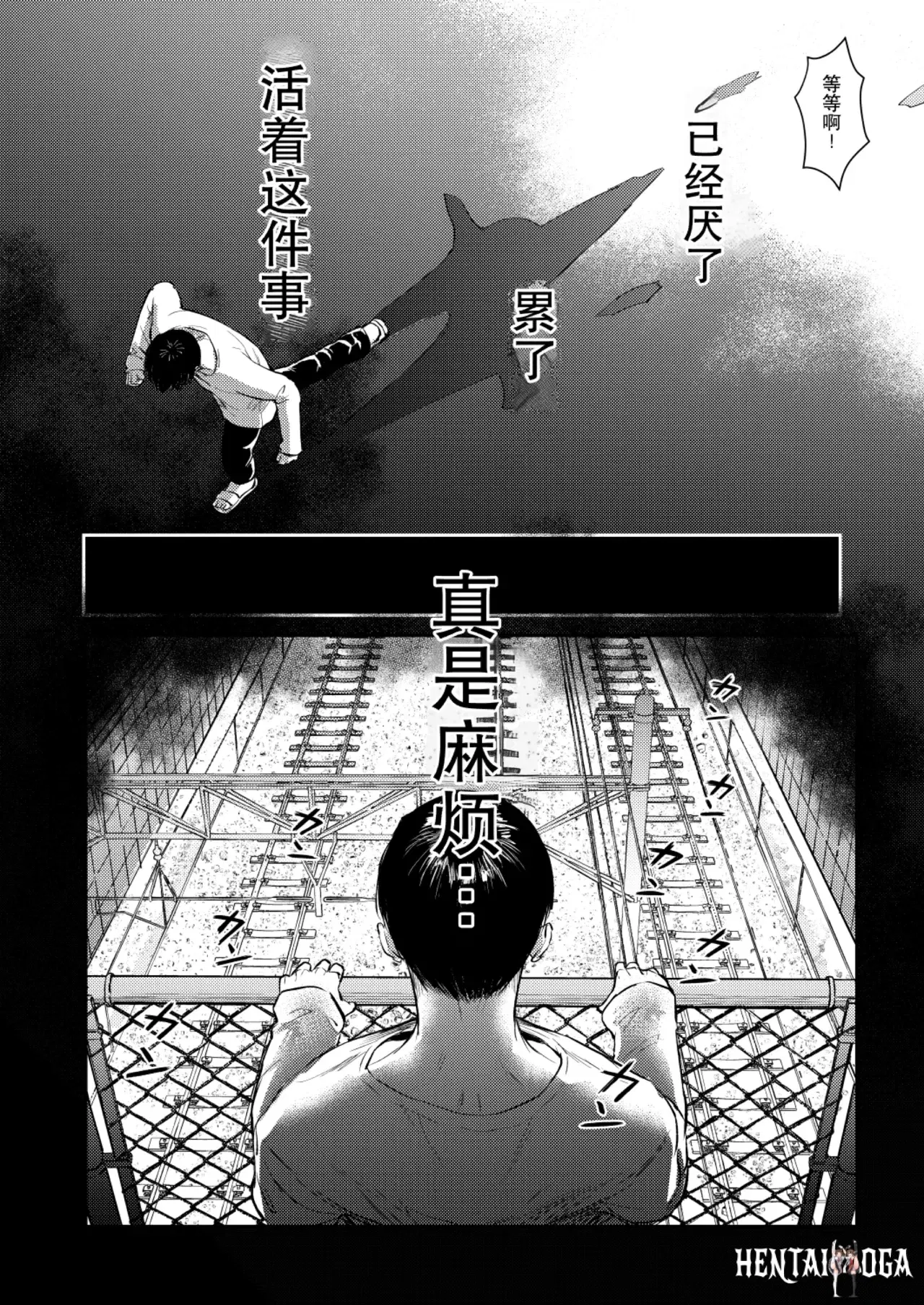 Image #14