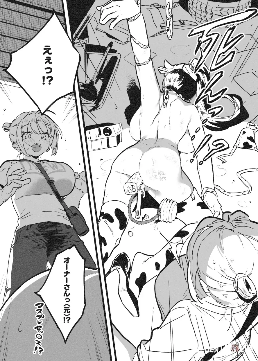 Image #28