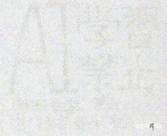 Image #23
