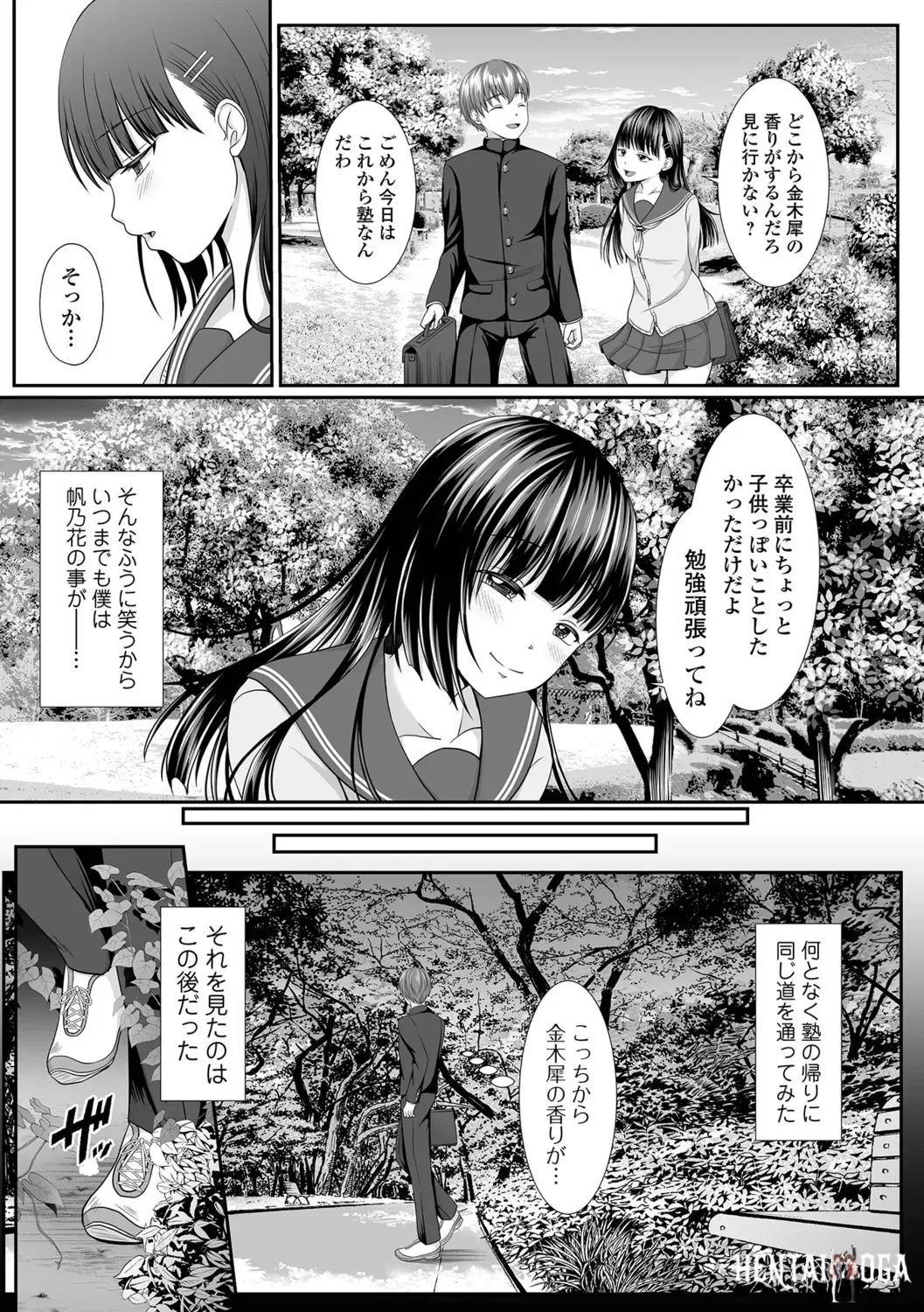 Image #43