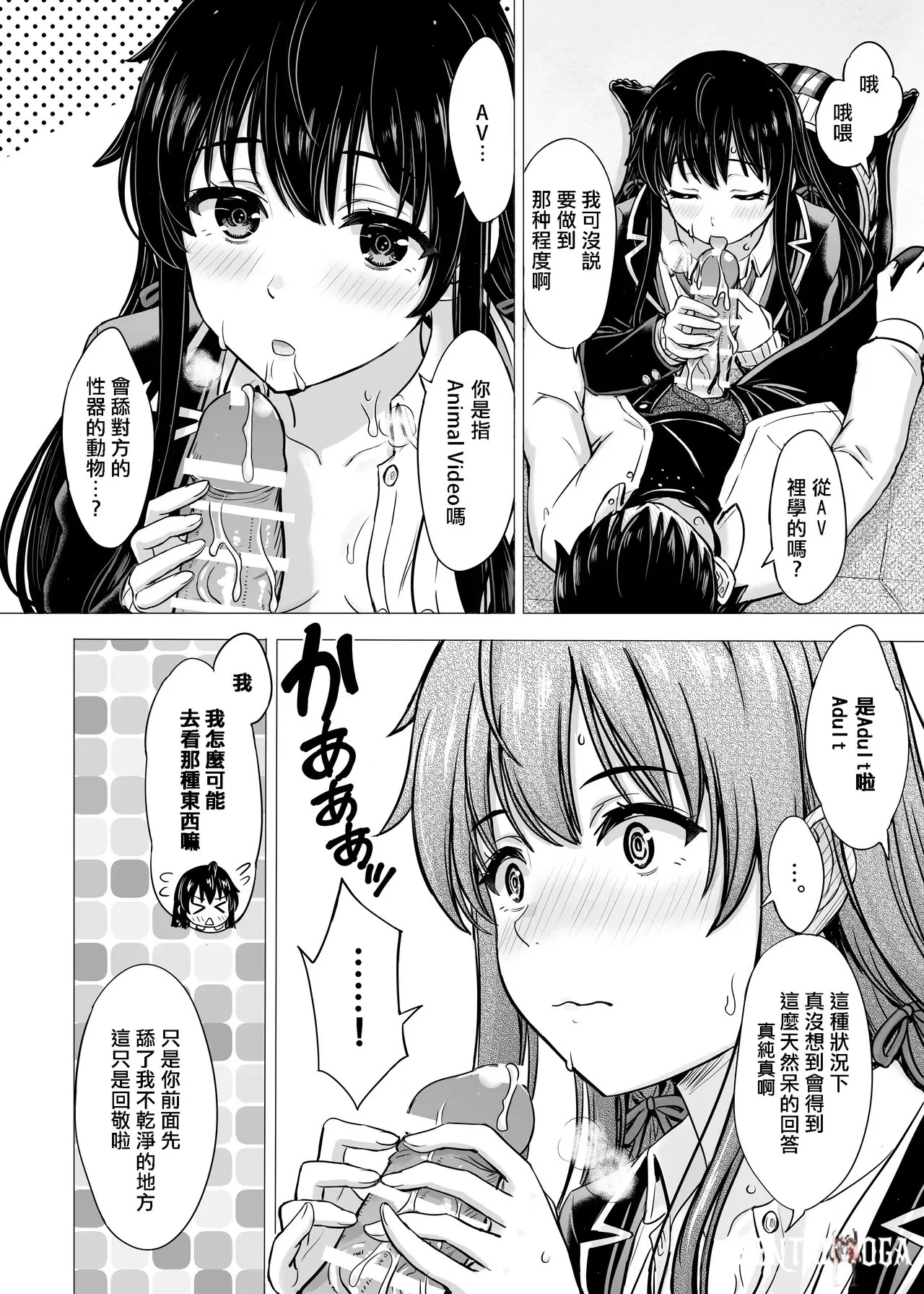 Image #41