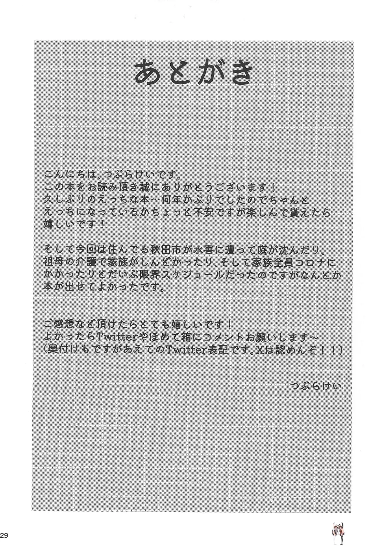 Image #29