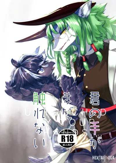 (كيموكيت 13) (هوشي فوتاتسو. (Yoo Oona)) Kimi no Te ga Mada Sawarenai - معرض هنتاي