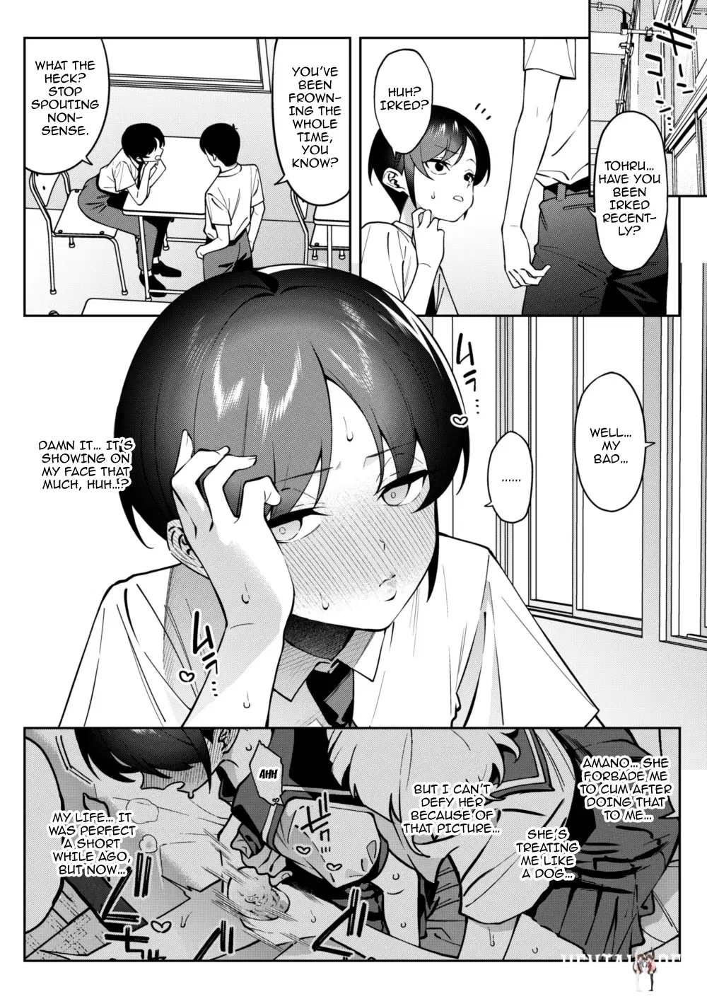 Image #17