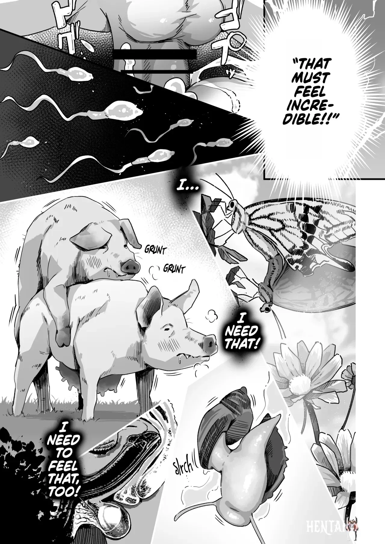 Image #24