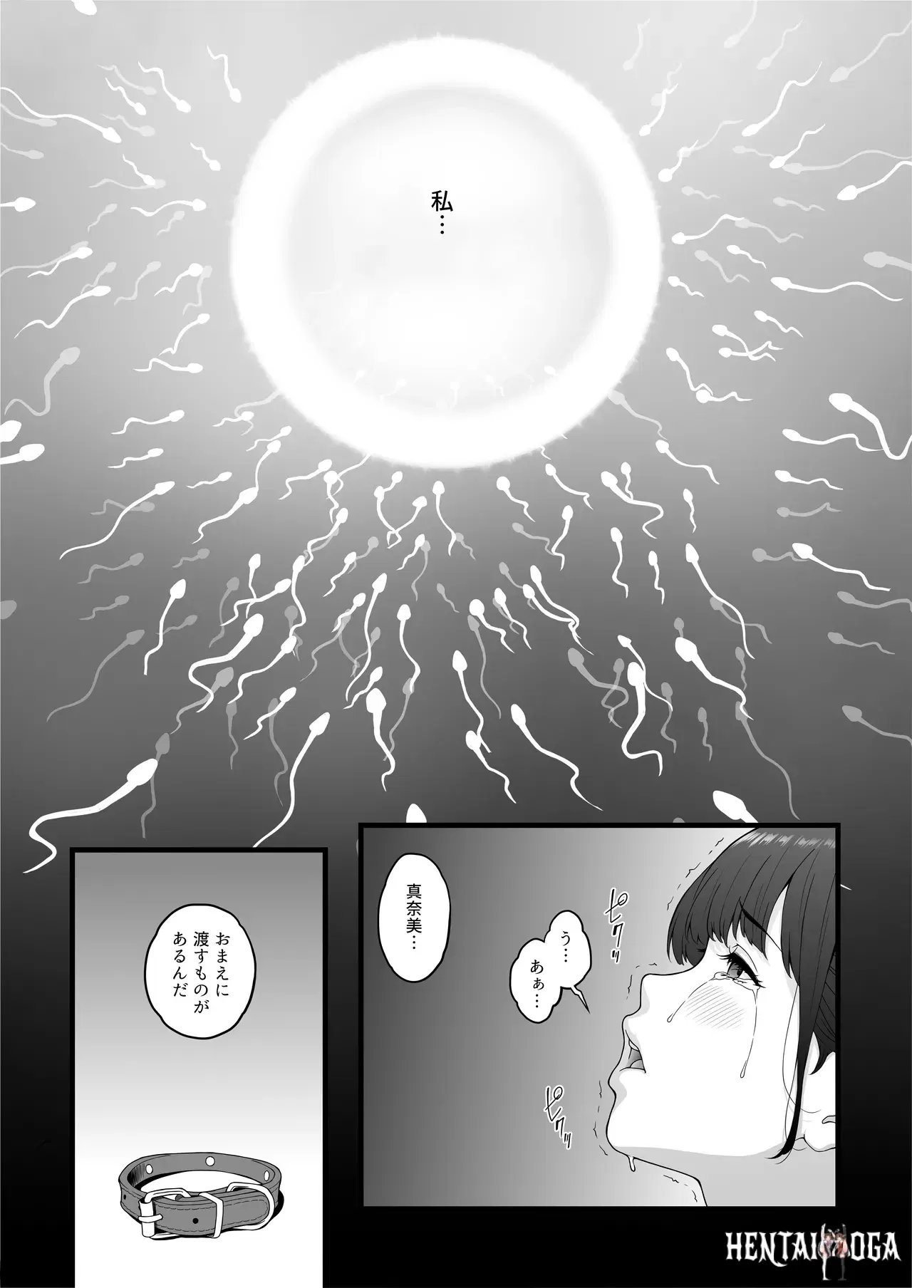 Image #41