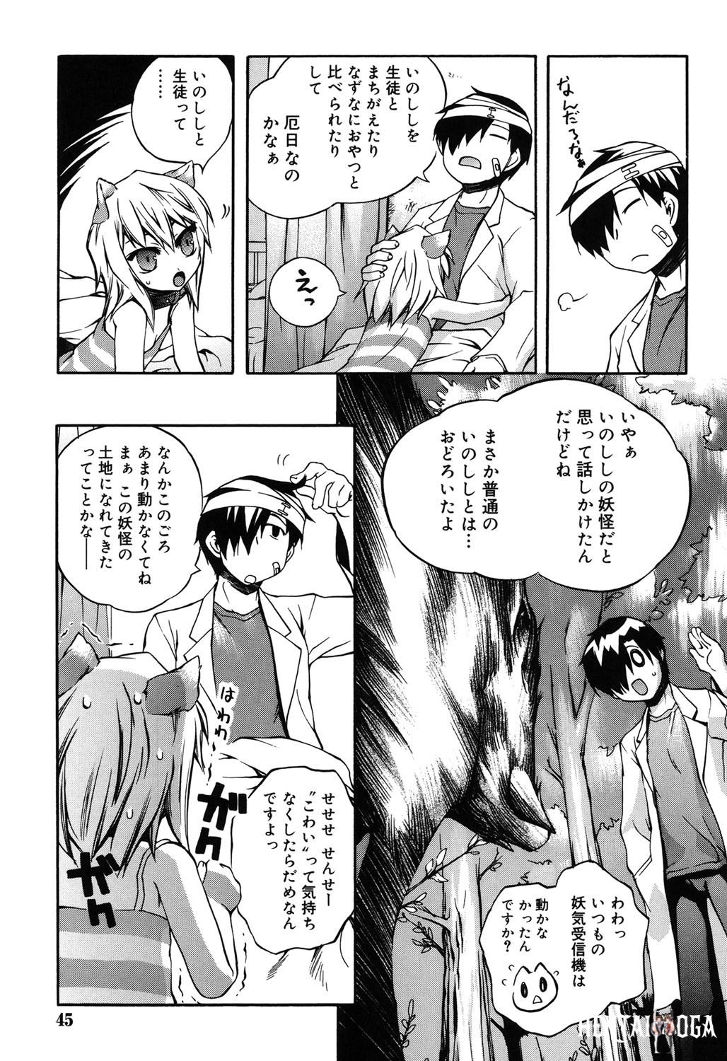 Image #42