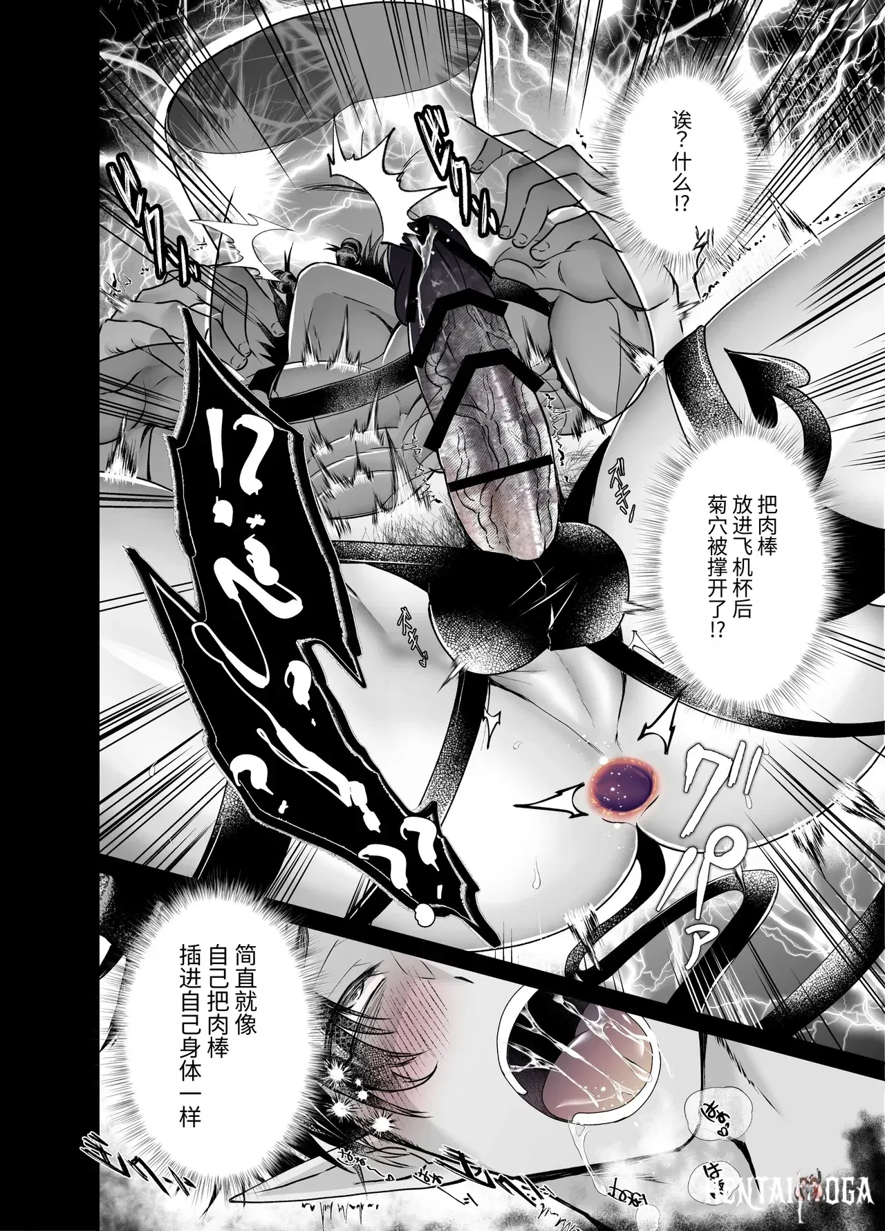 Image #11