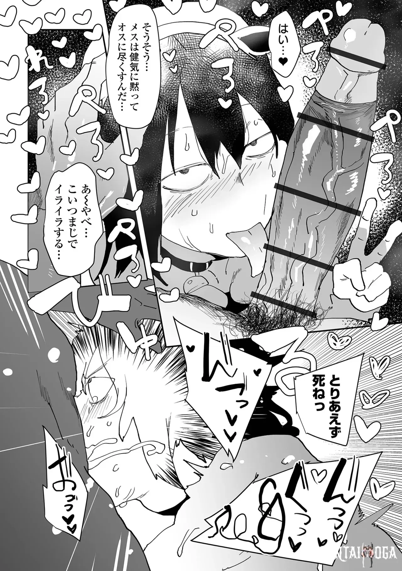 Image #12